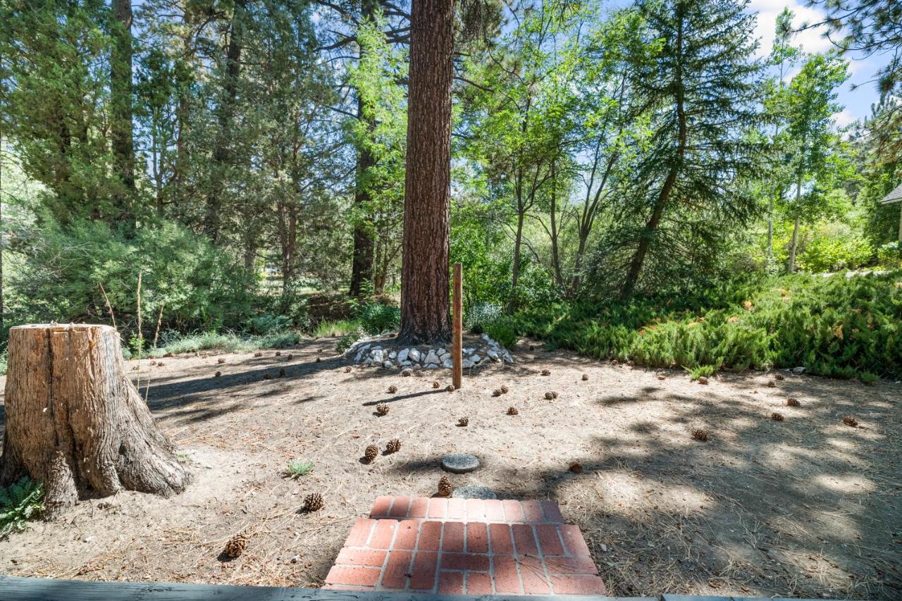 Peaceful Pines Panorama - Nestled In An Upscale Neighborhood! Recently Remodeled, New Appliances! Big Bear Lake Exterior foto